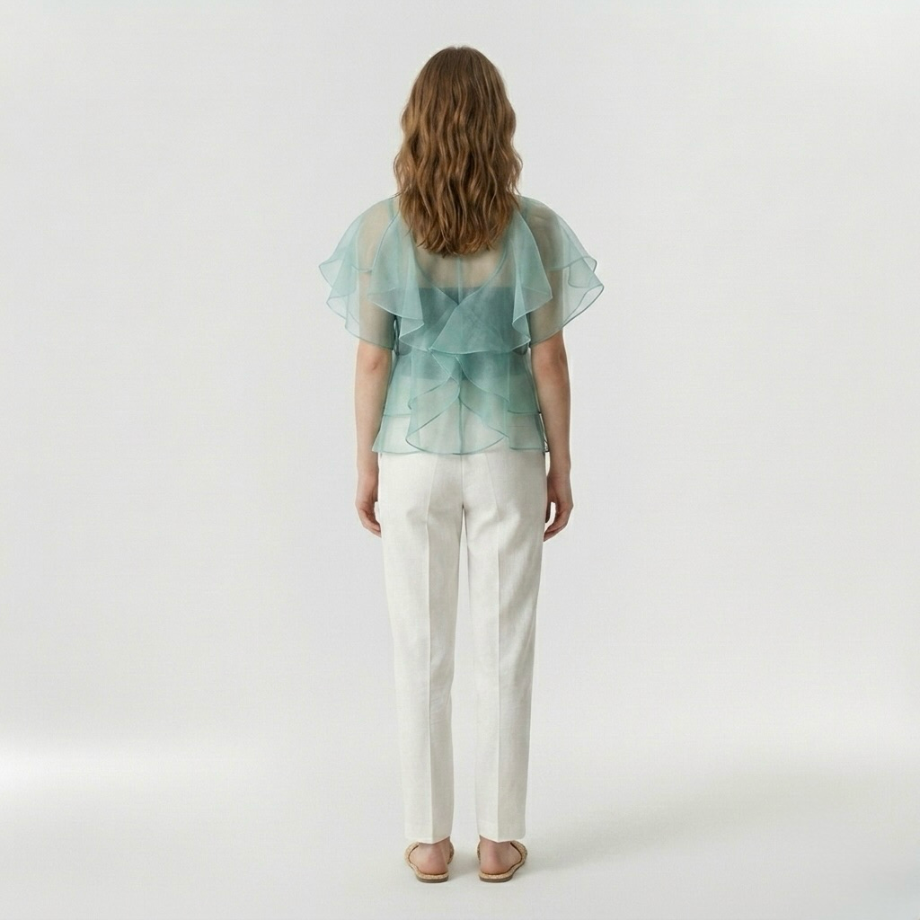 Sheer Ruffle Organza Overlay Top